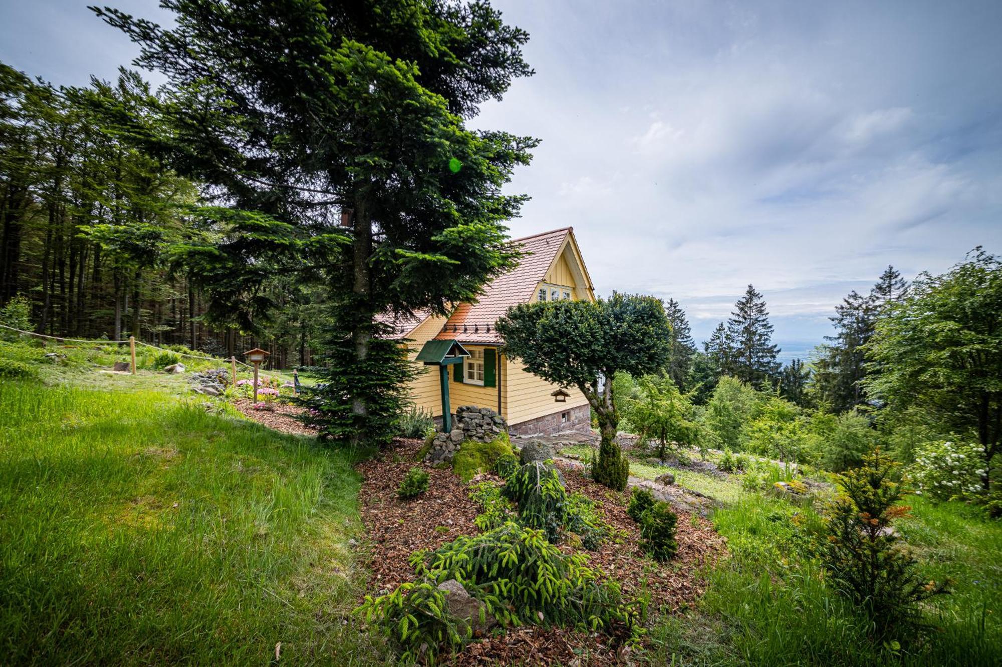 Sonnenhaeusle - Natur. Fernblick. Panorama-Sauna. Sasbachwalden Eksteriør bilde
