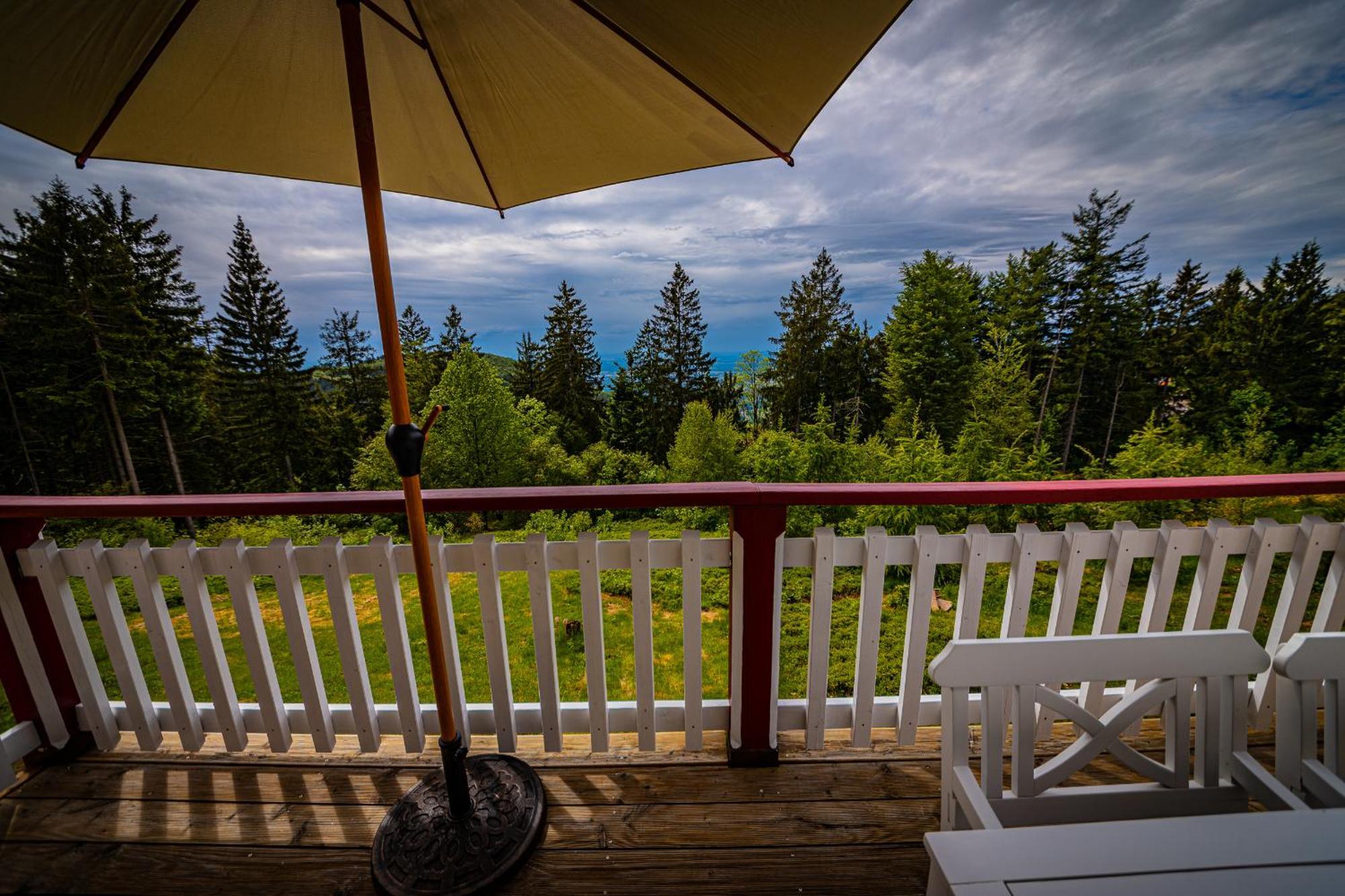 Sonnenhaeusle - Natur. Fernblick. Panorama-Sauna. Sasbachwalden Eksteriør bilde