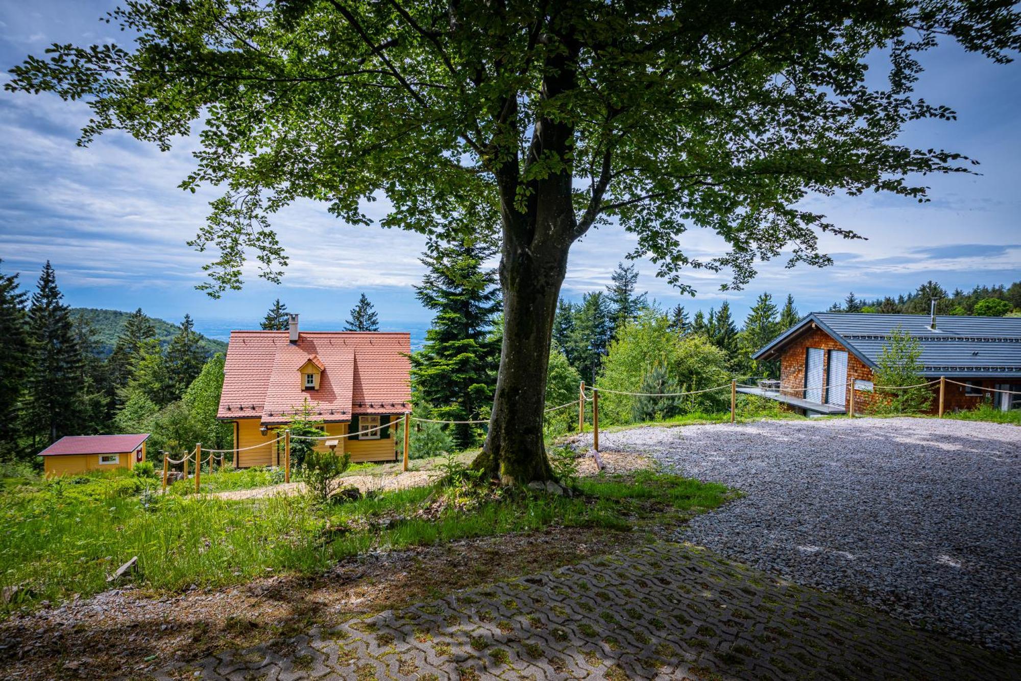 Sonnenhaeusle - Natur. Fernblick. Panorama-Sauna. Sasbachwalden Eksteriør bilde